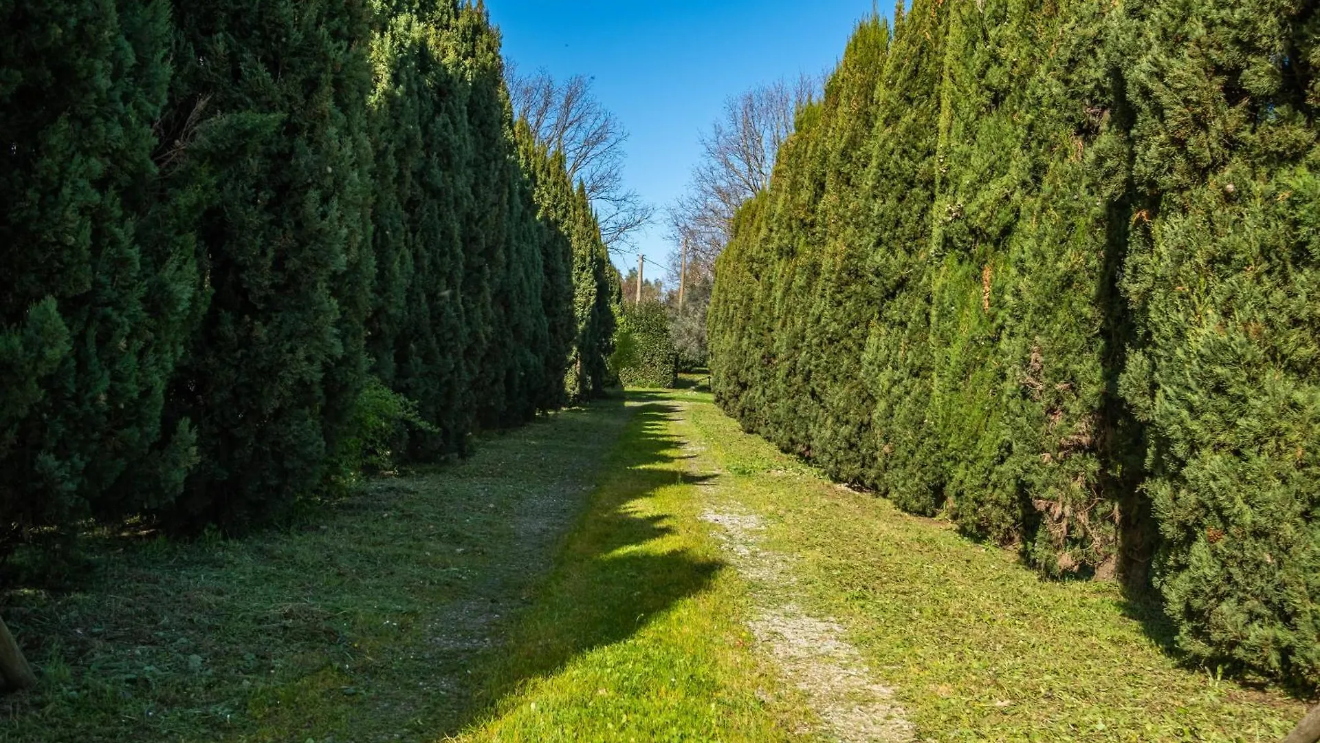 Rosaspina - Appartamento 4 Capalbio Italien